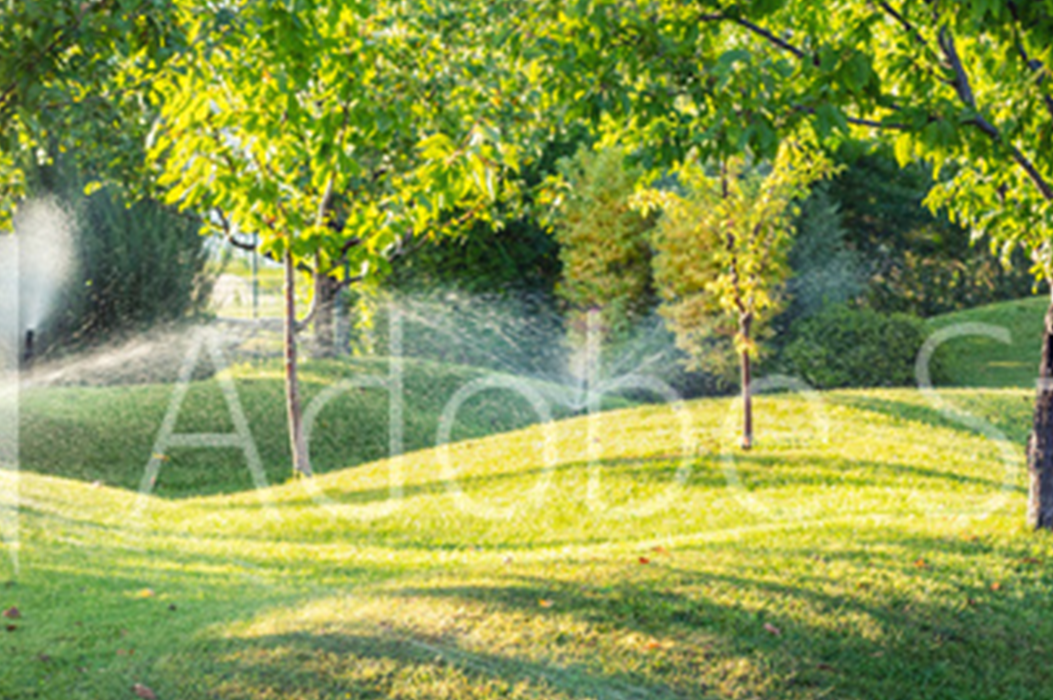 Artificial Grass Installation Tauranga, Te Puke, Katikati